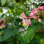 「藍川京」の部屋