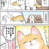 愛おしい、猫