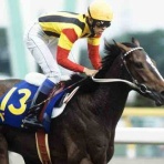 新入一口馬主の活動履歴