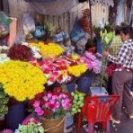 カンボジアでロングスティ、ボランティア活動を