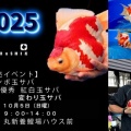 🌟🌟🌟10月5日は玉サバ即売会🌟🌟🌟