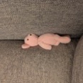 挟まっている