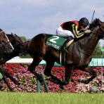 BOSS猿のアナログ肉眼競馬