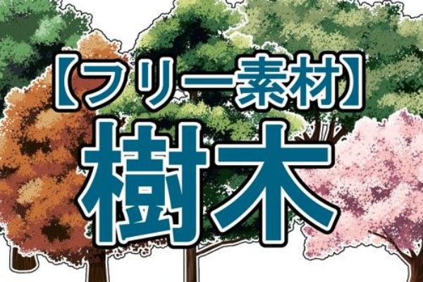 窓使いの絵箱 13年12月