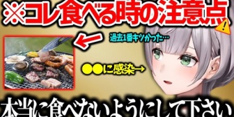 【ホロライブ】ノエル、地獄の胃腸炎、今年の夏への注意喚起