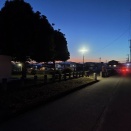 データーでは、ワンコさんが少ないようです。