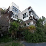 オバサンヘアーでゴーゴー