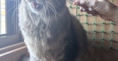 獣感あふれるマロちゃん