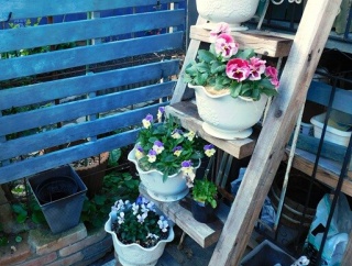 結局　庭の手入れ