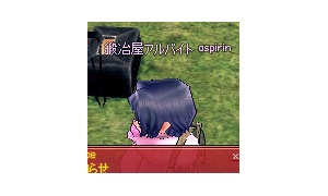 右手に金鎚、左手に***を持ってください。