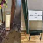 アンティークコイン　サンクチュアリ