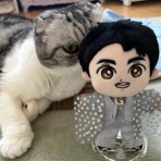 猫だらけ