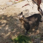 にぎにぎ　あずき