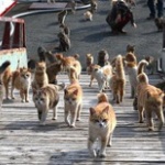 「子子子子子子子子子子子子」←これなんて読むの？