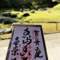 「そうだ！山口へ行こう！」⑦ まさかの贅沢。雪舟庭を独り占めし、京都・竜安寺の記憶とシンクロする夕暮れ。