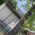 珍しく？！