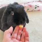 ぶ〜に〜の暮らし