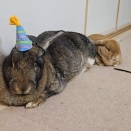 やっぱり大きい！