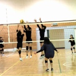 シーガル・バレーボールスクールのblog