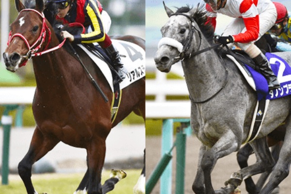 スプリングｓ リアルスティールv S ダノンプラチナ 最強ディープ産駒決戦 競馬予想 無料で全レース分読める 365日競馬速報