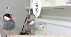 眠いんだぼくは…