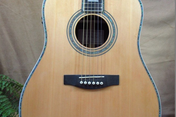 TOYAギター （夢を形に、趣味のオーダーメイドギター