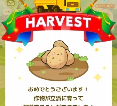 カウシェ🥔じゃがいも収穫しました〜🎶