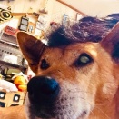 おお！