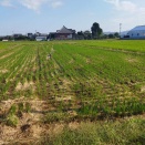 西尾が大好きな人です