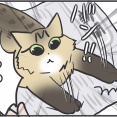 誰であっても新聞は読ませない猫