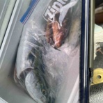 みなもと渡船のオフィシャルblog