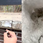 きままニュース