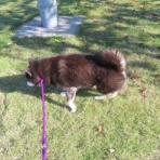 churahamaのブログ