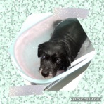 日々、ＪＡＭにあり