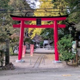 『受験生に人気の「すべらずの松」や「回遊式庭園」を有する内々神社。もうちょいで紅葉の見頃（春日井市内津町）』の画像