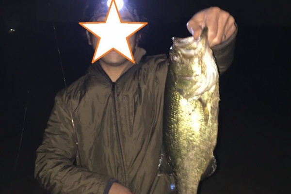 釣りして子供と遊んで犬と戯れよう そんでたまに沖縄に行きたい