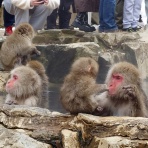 富山で飲み食い・おぼえ書きブログ