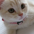 最高な画像、爆笑画像貼ってけｗｗｗｗｗ