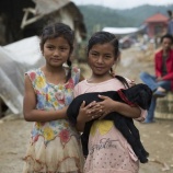 『ネパール大地震の動物たち』の画像