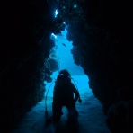 奄美大島　島人生活