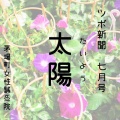 【太陽】片頭痛