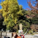 紅葉2025　【動画あり】