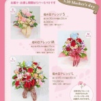 かぼすちゃんとおさんぽ。