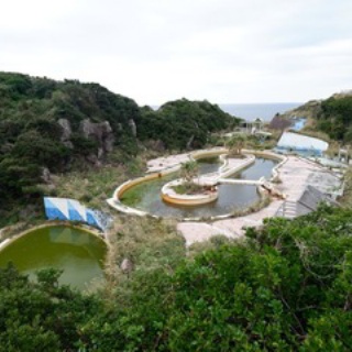 オバサンヘアーでゴーゴー