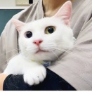 3歳　白雪　募集中