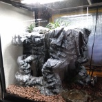 今日もテキトーに