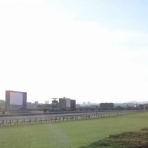 さておき競馬まとめ