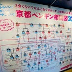 海外「日本の水族館がペンギンの恋愛相関図を作ってるぞ」京都水族館の最新版ペンギン相関図に対する海外の反応