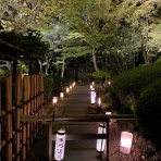 女流尺八奏者・金子朋沐枝のうらうら活動日記♪