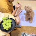 ふるさと納税で頼んでたもの